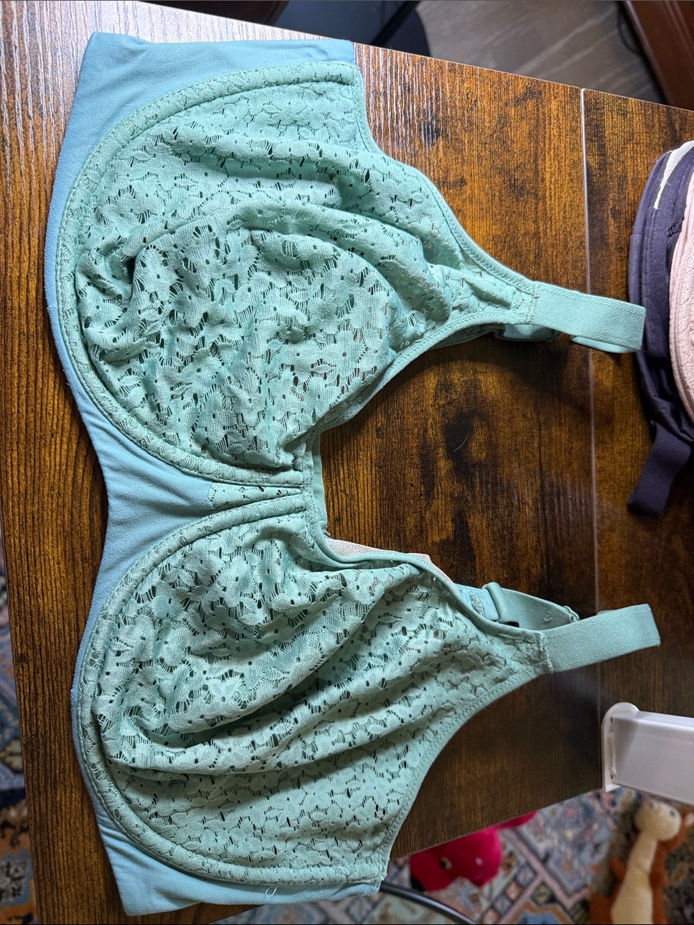Chantelle Norah Mint Lace Full-Coverage Bra 40DD
